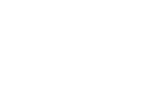 Atlanta Falcons Hex Colors: Gradient