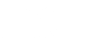 TripAdvisor Hex Colors: Gradient