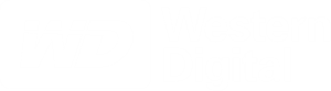 Western Digital Hex Colors: Gradient